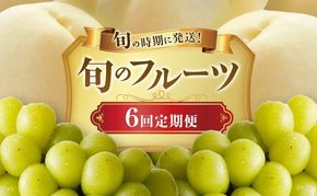 【2026年先行受付】 白桃 シャインマスカット 晴王 6回 定期便 桃 ぶどう 岡山県産 御中元 ギフト 御礼 プレゼント 御礼 御祝 御供 果物 くだもの フルーツ もも モモ 葡萄 ブドウ