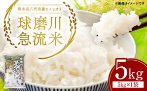 《令和7年産》熊本県八代市産 球磨川急流米 ヒノヒカリ 5kg 国産 白米 精米 お米 コメ 米 ライス ご飯 ごはん 白飯