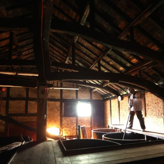 はさめず餃子セット【hkst0001】