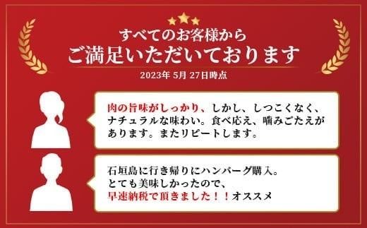 石垣牛 ハンバーグ セット (100g×10個)＜2026年8月発送＞【国産 石垣牛100% 沖縄 石垣島産 高級 黒毛和牛 ビーフ ハンバーグセット 】A-006_08