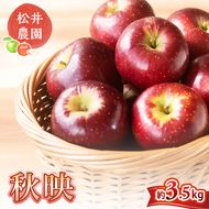 信州小諸　松井農園の秋映　約3.5kg 果物類 林檎 りんご リンゴ