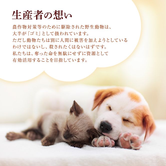 ペットフード KomoroPremium 鹿肉 ジャーキー 50g×5袋 犬 猫 ペット フード