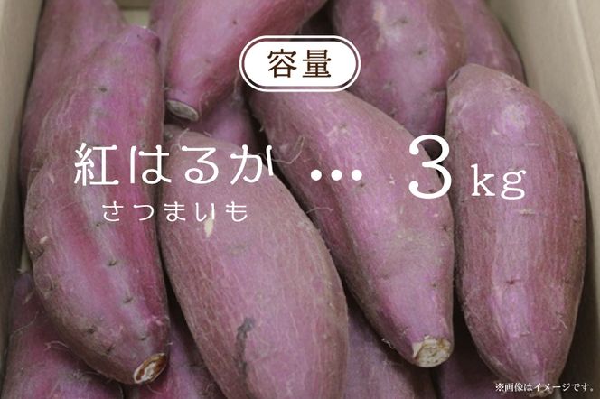 EK-8　【2026年9月より順次発送】農産物直売所「やさいの声」さつまいも　紅はるか　新芋　洗い　約3kg