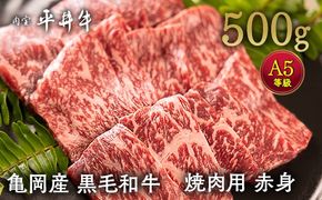 数々の誉れに輝く最高峰 黒毛和牛「平井牛」A5 焼肉用 赤身 500g 京都 丹波牧場 自家産≪ウチヒラ・マル・イチボ・ランプ・ウチモモ・シンタマ 希少 和牛 京都肉 冷凍 真空 BBQ キャンプ≫