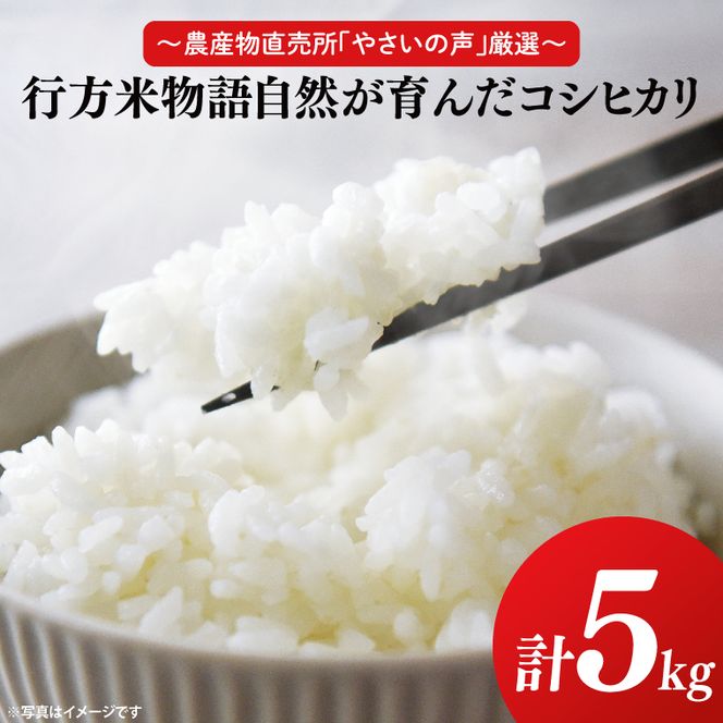 ～農産物直売所「やさいの声」厳選～「行方米物語 - 自然が育んだコシヒカリ５kg」｜米 お米 こめ コシヒカリ ご飯 白ご飯 令和7年産 R7年産 茨城県 行方市(EK-7-2)