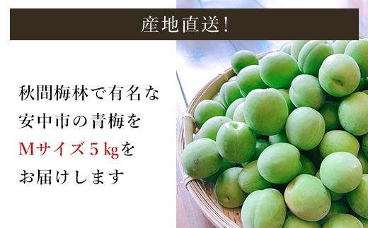 【2026年発送分先行予約】旬をお届け！青梅【Mサイズ５㎏】 ANAR017