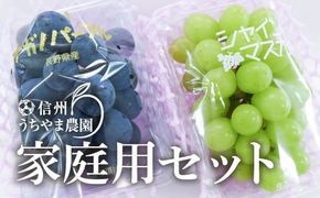 先行受付【家庭用 パック詰め】ナガノパープル＆シャインマスカット 合計約700g (350g×各種1パック) 《信州うちやま農園》■2025年発送■※8月中旬頃～10月中旬頃まで順次発送予定