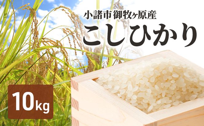 小諸 御牧ヶ原産 こしひかり 10kg　長野 信州 コシヒカリ 精米 美味しいお米 お取り寄せ おこめ 白米