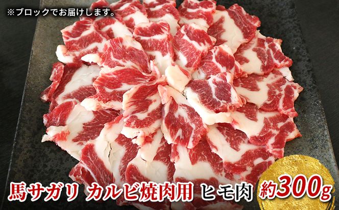 焼肉用 馬肉 サガリ カルビ ヒモ肉 約300g 焼き肉 やきにく ヤキニク BBQ バーベキュー 馬刺し 馬刺 馬 肉 お肉 冷凍 配送不可：離島 