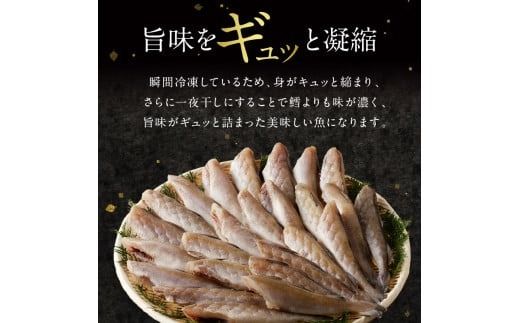 《14営業日以内に発送》北海道産 生干しこまい 1kg×2箱 ( 干物 おつまみ コマイ 2キロ 2箱 海鮮 魚介 加工品 加工食品 干しこまい 魚 生干し 北海道 こまい )【035-0007】