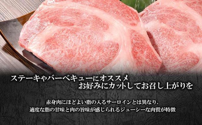 【茨城県共通返礼品】WO-29Butchers 常陸牛 リブロースステーキ