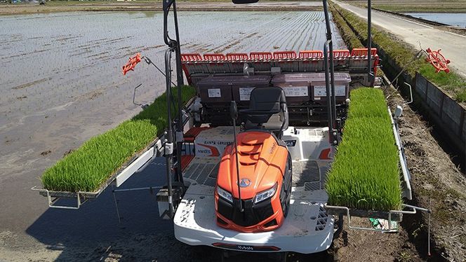 令和7年産 茨城県産 新米 ミルキークイーン 10kg 玄米 米 こめ コメ 農家 直送 こだわり お米 おこめ 茨城 [BG011ya]