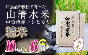 【令和8年産 新米】 【定期便／全6回】精米10kg　新潟県魚沼産コシヒカリ「山清水米」十日町市 米