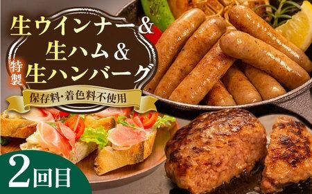 【全3回定期便】 ウインナー / ハンバーグ / ハム 月替り セット 糸島市 / 志摩スモークハウス 生ハム ベーコン[AOA038] 定期便 生 ウインナー ソーセージ ハンバーグ お肉