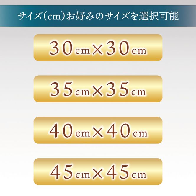 職人技　行方工場セミオーダークッションカバー 2枚｜カバー クッションカバー クッション オーダー セミオーダー 雑貨 インテリア 選べる 色 サイズ 職人技 茨城県 行方市(HQ-1)