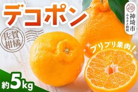 【令和7年2月より発送】佐賀県産柑橘『デコポン』約5000g【果物 フルーツ でこぽん みかん 柑橘 ジューシー 濃厚な甘み ふるさと納税】(H108112)