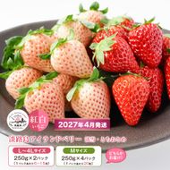 淡路島アイランドベリー　紅白いちご　淡雪/とちおとめ 2～4パック入【2027年4月発送予約受付・お届け日指定不可】　いちご