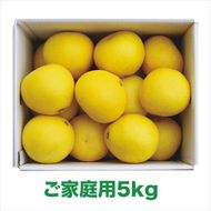 【2026年発送】岡林農園の(家庭用)土佐文旦(約5kg/8～12玉) 栽培期間中 農薬不使用