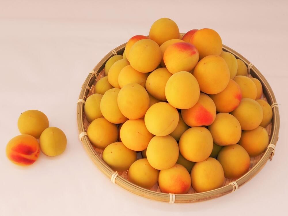 [梅干づくり用]紀州南高梅2kg(2Lサイズ) 304018_AV11