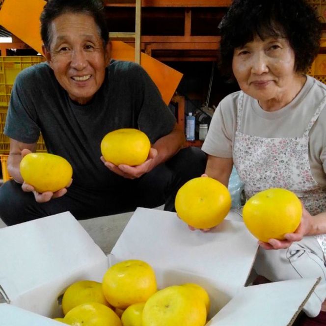 ＜2026年1月下旬より順次発送＞嬉龍の土佐文旦　贈答用　2～3Ｌサイズ　約5kg　減農薬