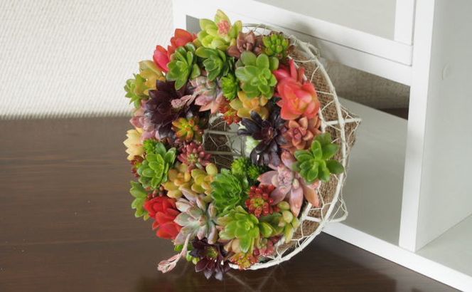 多肉 寄せ植え サークルハンキング  植物 アレンジ 丸型リース 植物 インテリア ガーデン 