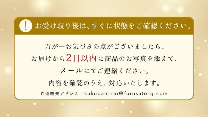 ＼お届け回数が選べる／ 【化粧箱入り2段】厳選フルーツ 10〜12種プレミアムセット 単品・定期便（茨城県共通返礼品） 田舎の頑固おやじが厳選！ 人気 厳選 果物 くだもの 旬 旬の果物 旬のフルーツ 上級品 極上 贅沢 極み フルーツ フルーツセット ギフト プレゼント 贈り物 冷蔵