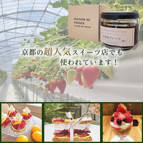 来シーズン予約受付 高級 京いちご 完熟 朝採れ 約1,000g（250g 4パック）小島農園 紅ほっぺ おいCベリー スターナイトから厳選≪訳あり 苺 イチゴ ≫離島への配送不可 ※2026年1月中旬～5月下旬頃に順次発送予定