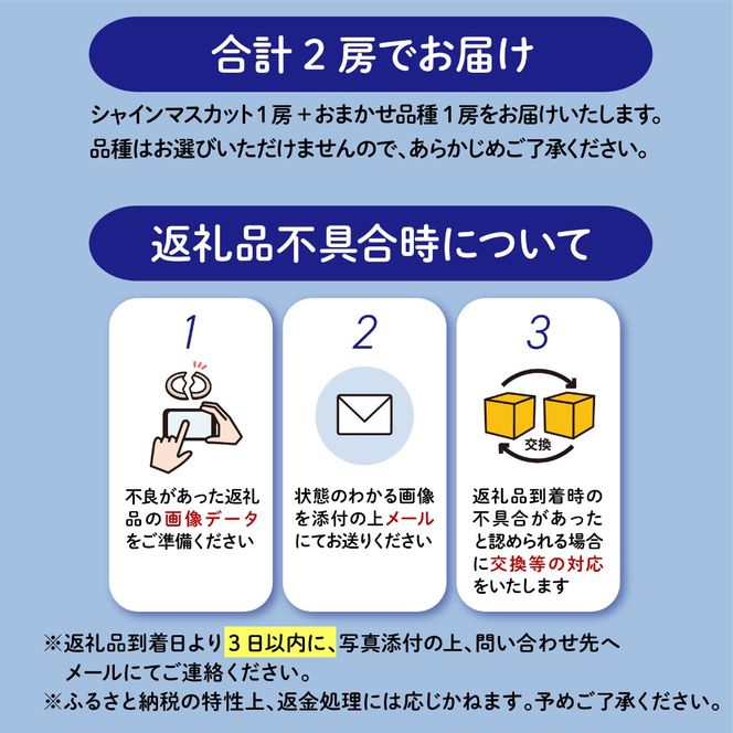 【2026年8月以降発送 先行予約】シャインマスカット 1房 おまかせ品種 1房 （マスカットノワール クイーンニーナ ナガノパープル） 約1kg 産地直送 数量限定 マスカット ぶどう マスカットノワール クイーンニーナ ナガノパープル フルーツ 果物 国産 静岡県 藤枝市