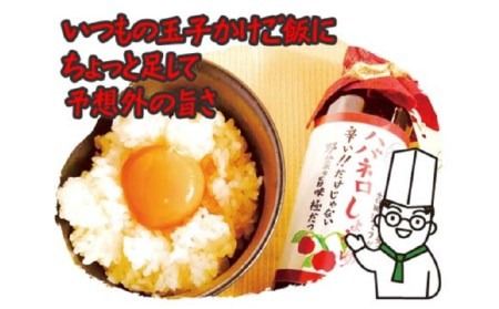 ハバネロ しょうゆ 200ml《糸島》【シェフのごはんやさん四季彩】【いとしまごころ】[ACC003] 醤油 タレ 漬けたれ からあげ ハバネロ 国産 お試し 調味料