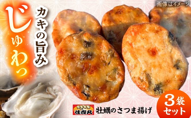 牡蠣のさつま揚げ 3個セット 糸島市 / カキ小屋 住吉丸[ACJ016]