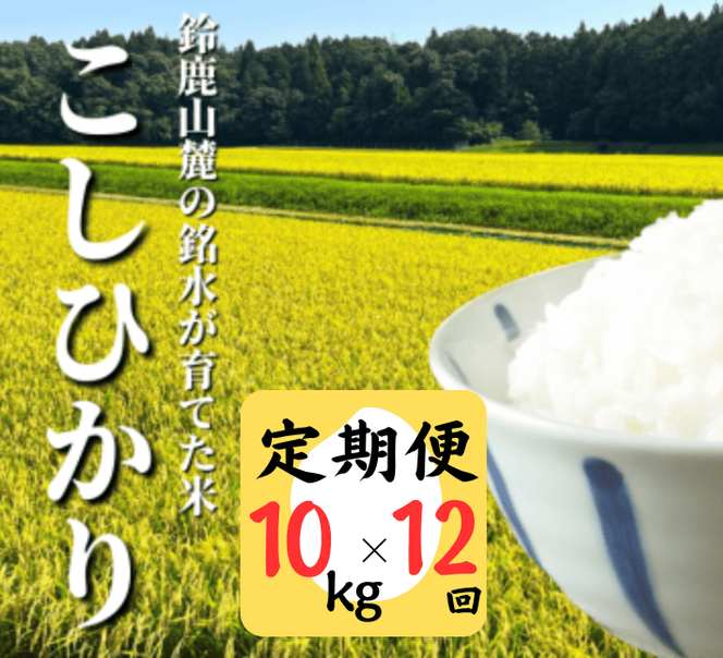 ＜定期便＞鈴鹿山麓の銘水が育てた米、米どころ三重県産小山田地区「こしひかり」10kg【12ヶ月】-[G896]