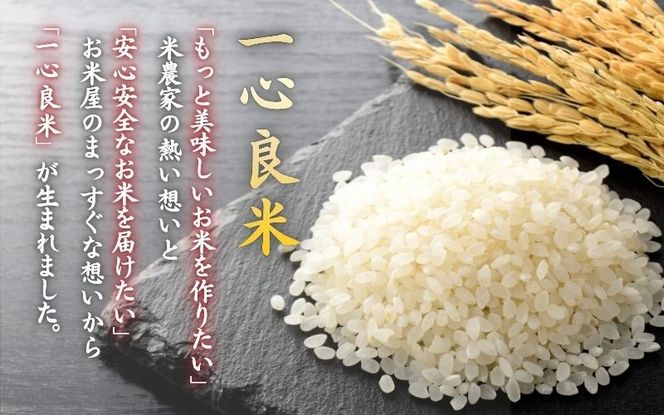 ＜全12回定期便＞ 真庭市産コシヒカリ 米ぬか 牡蠣栽培米 『 一心良米 』 白米 10kg (5kg×2袋）×12回 令和7年産 / お米 いっしんりょうまい 岡山県 こしひかり 人気 ブランド2025年産 【tkns-tkb035-cho】