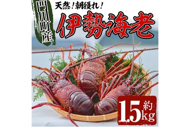 y{茧쒬zʌEԌ聄VRI쒬YɐCV(v1.5kgE2`6)Gr  hg  CN l YyO-6zy싙Ƌgz