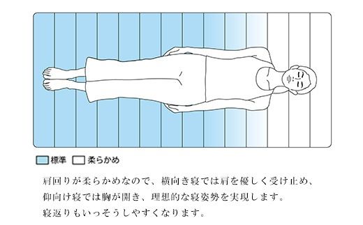 エアウィーヴ スマートZ01　特別仕様 シングル | 折りたたみ 三つ折り マットレス マットレスパッド パッド 日本製 敷き布団 敷布団 コンパクト収納 寝具 洗える 洗濯できる ギフト 贈答用 エアウィーブ