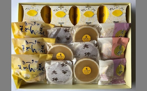 銘菓「老伴」と人気の和・洋菓子詰合せ【1.2-31】