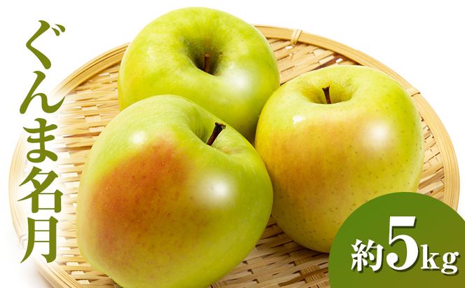 【2026年11月発送】 ぐんま名月約5kg 13～18玉 りんご 長野県産