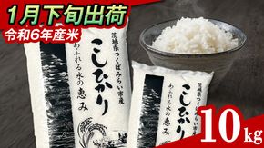 【 1月下旬発送 / 数量限定 】新米 茨城県産 コシヒカリ 精米 10kg (5kg×2袋） 令和6年産 こしひかり 米 コメ こめ 単一米 限定 茨城県産 国産 美味しい お米 おこめ おコメ [CL32-NT]