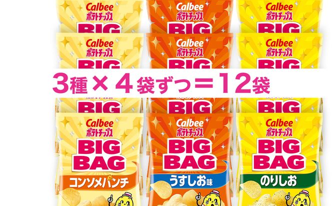 最短3営業日！スピード発送】 カルビー ポテトチップス BIGBAG 157g 3