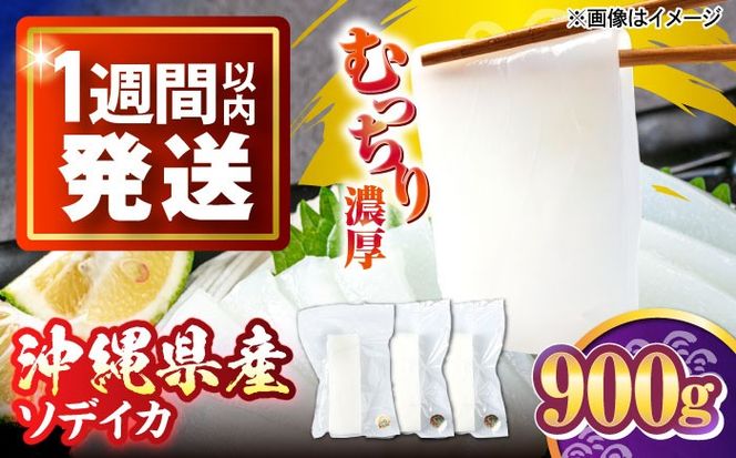 冷凍セーイカ (そでいか) 900g (300g ×3パック) 沖縄市 / 沖縄市漁業協同組合 パヤオ直売店[BCDZ008]