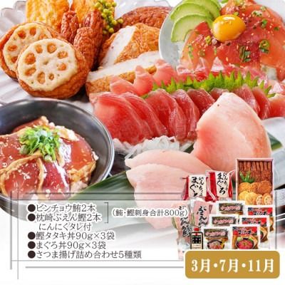 定期便(2回配送)一本釣りかつお・まぐろ三昧　(さつまあげも) DD-6005 【1166750】