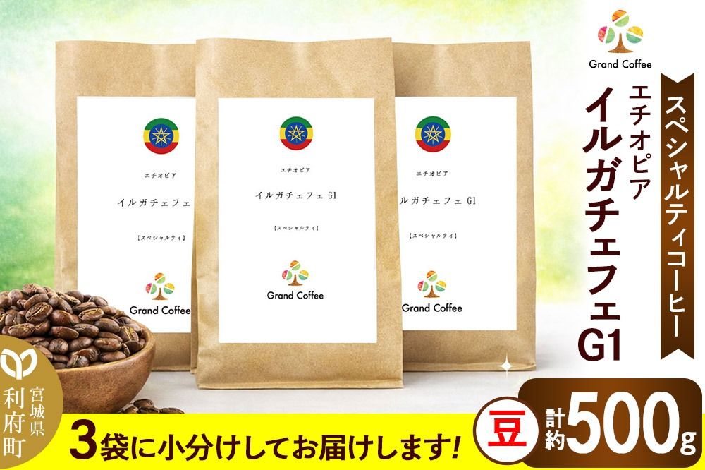 コーヒー エチオピア イルガチェフェG1 (3袋 計約500g) 宮城県利府町(豆)|06_grc-050101a