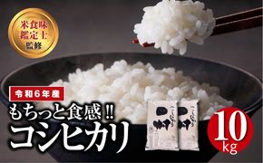 ＼ 年内発送 12/24(火)決済完了分まで！／【 新米 】 令和6年産 田村産 コシヒカリ 10kg ( 5kg × 2袋 ) 先行予約 精米 白米 贈答 ギフト プレゼント 美味しい 米 kome コメ ご飯 ブランド米 精米したて お米マイスター 匠 食味鑑定士 福島 ふくしま 田村 安藤米穀店