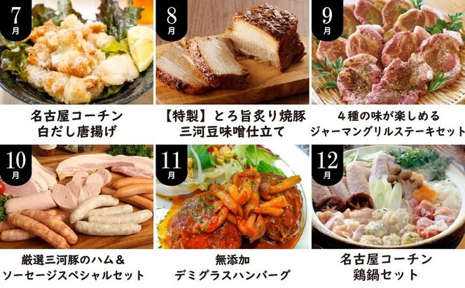 碧南市がチョイスした厳選定期便！ 【全12回】厳選！お肉づくめの定期便(毎月お届け）　H028-091