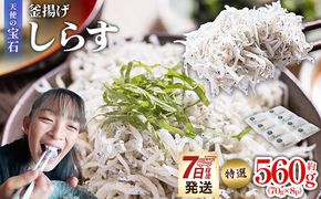 しらす 【天使の宝石】特選 釜揚げしらす 約560g 70g×8パック 特選 小分け 国産 ちりめんじゃこ 離乳食 しらす シラス 稚魚 魚介 魚 海産物 釜茹で ドロメ しらす丼 料理 ご飯のお供 カワクボFACTORY 高知県 香南市 fa-0002