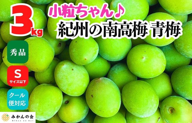 ［2026年6月上旬出荷］南高梅 青梅 秀品 小粒ちゃん 約3kg Sサイズ以下 和歌山県産 紀州有田 産地直送 クール便対応 梅酒作り用 梅ジュース作り用 AX391