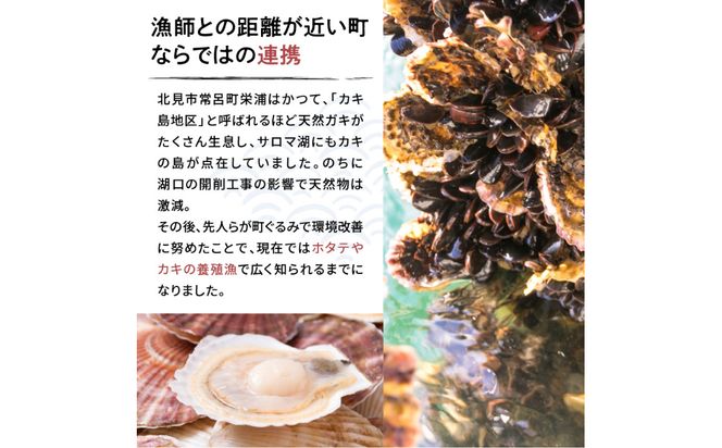 《14営業日以内に発送》オホーツク海産 ホタテの缶詰 80g×2缶 ( 帆立 ほたて 貝 魚介類 海鮮 )【114-0083】