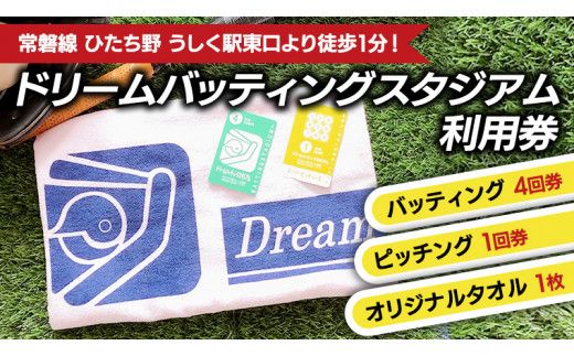 バッティング4回券・ピッチング1回券[CA001us]