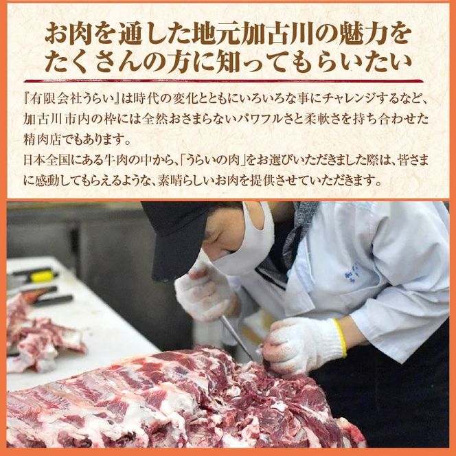 五つ星ひょうご認定特製神戸ビーフハンバーグセット（100g×5個入り）【2401I00601】