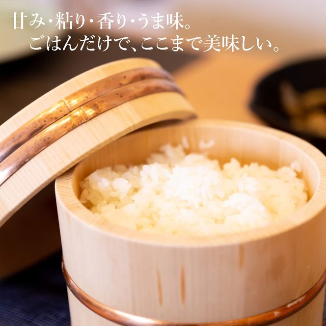 【数量限定】令和7年産コシヒカリ　10kg　磐梯山麓こしひかり　精米　発送時期3月下旬から