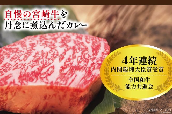 カレー 3回 定期便 レトルト 宮崎牛カレー 160g 12袋 総計36袋 [九州産商 宮崎県 日向市 452061182] 小分け ビーフカレー 宮崎 牛 常備食 保存食 中辛 宮崎牛 備蓄